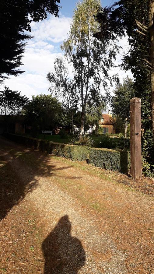 Les Terrasses Bed & Breakfast Degre Exterior photo